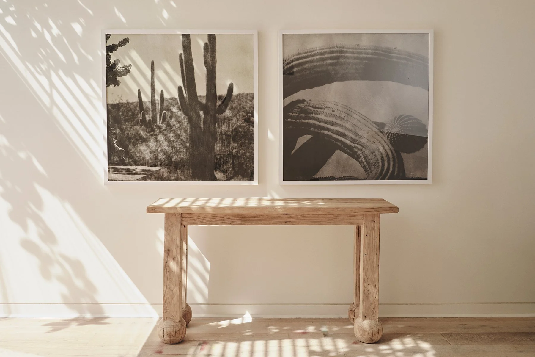 Cacti Series - Arizona - Image 2